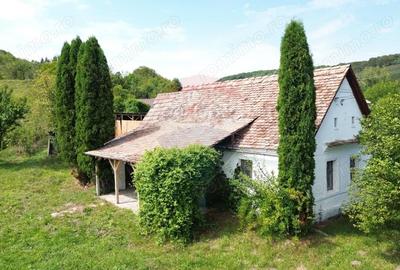 Casă cu Teren 1138 Mp în Moardăș - 5