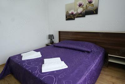 Garsoniera 205 lei single ?i 240 lei double, 5 minute mers pe jos de Catedrala din Timi?oara - 5