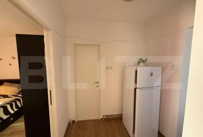 Apartament cu 2 camere decomandat, mobilat în 14 Mai - 4