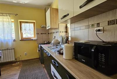 TEREN INTRAVILAN DEVANZARE 33161 MP DE VANZARE TARGU OCNA - 7