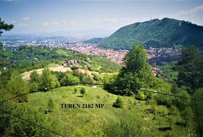 Teren Construcții intravilan de 2182 mp, în Drumul Poienii
