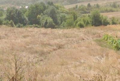Teren de 4296 mp, în Gura Șușiței - 2