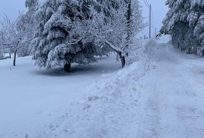 Spațiu comercial, în Șinteu - 5