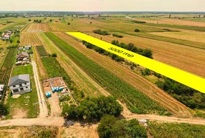 Teren intravilan construibil Bolintin Deal 5000 mp – dublă deschidere - 2