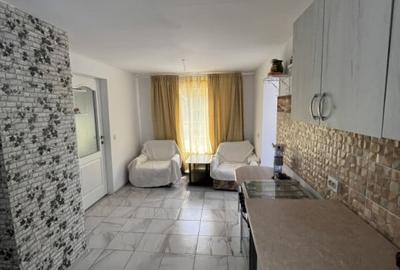 Casa de vacanta - Munteni Buzau - Jutetul Ialomita - Curte 2000mp - 8