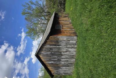 Teren de 6000 mp, în Gurasada - 6