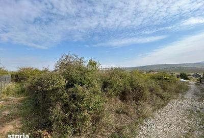 Teren de 500 mp, în Ciurea - 3