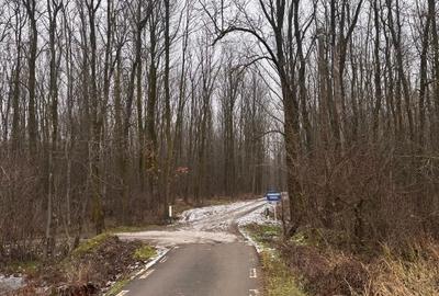 Teren Construcții intravilan de 500 mp, în Ciolpani - 7