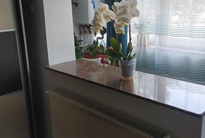 Apartament cu 2 camere semidecomandat în Silișteni - 8