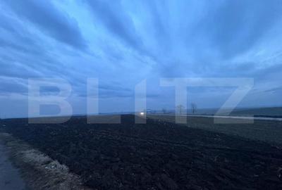 Oportunitate investi?ie, teren 10000 mp, toate utilita?il - 3