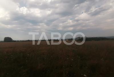 Teren de vanzare de 9.000 mp la sosea intre Cristian si Sacel - 2