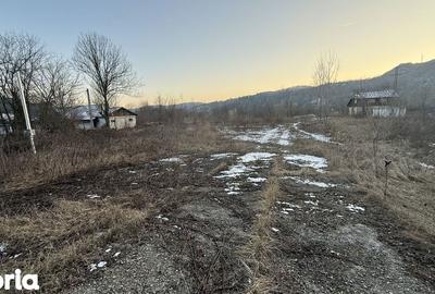 Teren de 10834 mp, în Dumbrăvești - 10