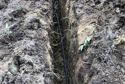 Teren de 1007 mp, în Bucium - 1