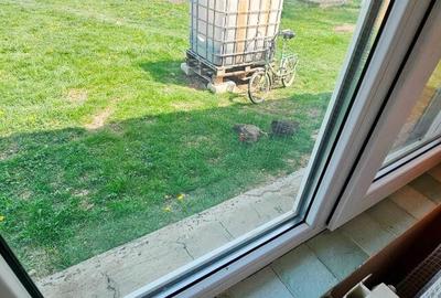 Proprietate Slobozia-Roznov, casa mansardata, teren si livada - 3