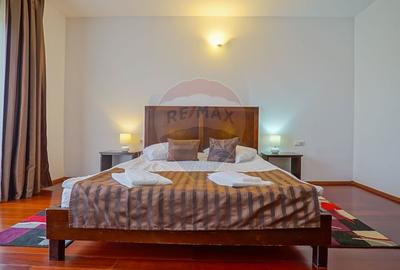 Hotel/Pensiune, de 2,950 mp, în Pănicel - 35