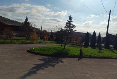 Casa individuala cu spatiu pt activitate - 6