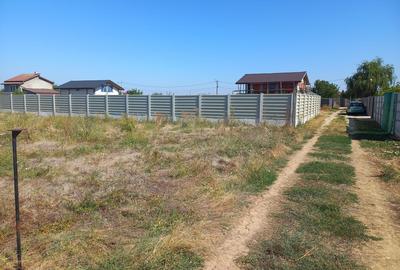 Adunatii Copaceni, Giurgiu - 1