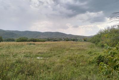 Oportunitate de investitie, teren intravilan, 6018 mp, Ungur - 7