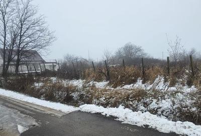 Teren de 2300 mp, în Vânători - 4