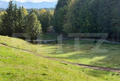 Teren intravilan 28 Ari zona Colibita - 2