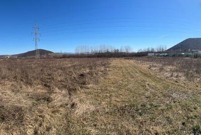 Teren de 9236 mp, în Șieu - 8