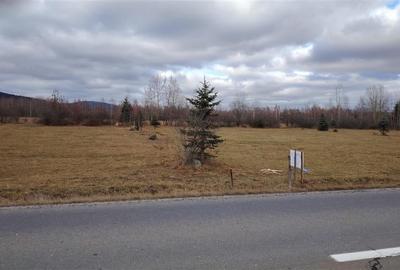 Teren extravilan in Borzont, langa DN13B - 4