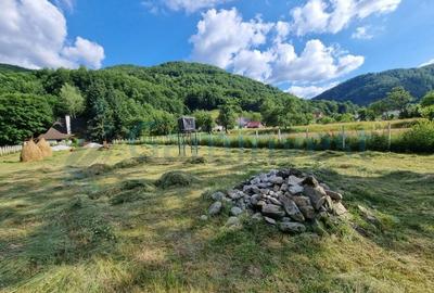 Teren Construcții intravilan de 1692 mp, în Remeți - 6