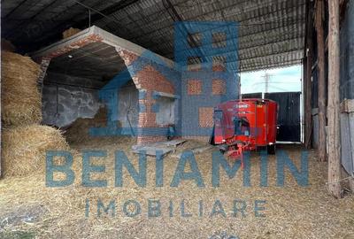 60.000mp Ferma de bovine, pasari, porcine, culturi agricole Diverse - 8