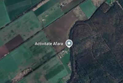 Giroc- teren extravilan- 8500 mp - front 375m- padure - 2