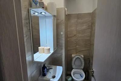 Apartament cu 3 camere decomandat în Theodor Pallady - 11