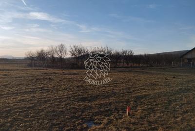 Teren agricol extravilan de 3500 mp, în Rusu Bârgăului - 2