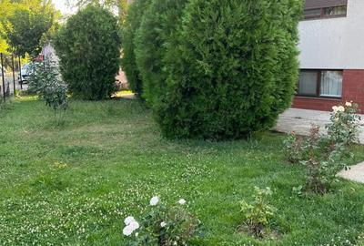 Direct proprietar. Pet friendly. Prima inchiriere. - 4