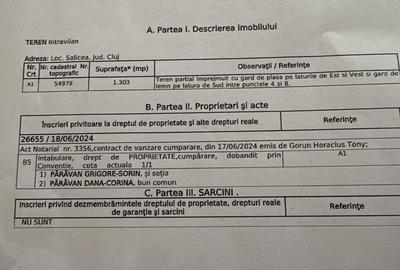 Spațiu comercial, în Sălicea