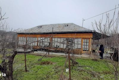 Casă cu 2 camere în Soci - 2