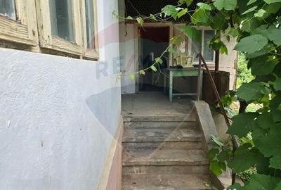 Casă cu 3 camere cu Teren 5000 Mp în Cislău - 9