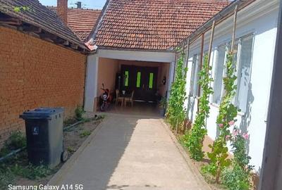 Casă cu 5 camere în Naidăș