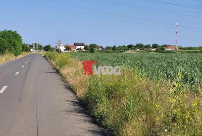 Teren de 10000 mp, în Cerneteaz