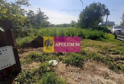 Teren de 5000 mp, în Copăceni - 2