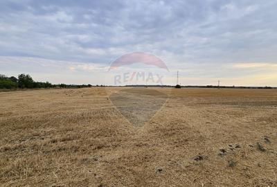 Teren Construcții intravilan de 2670 mp, în Est - 5