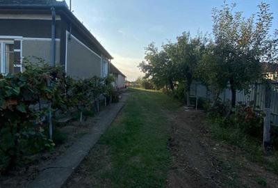 Casă cu 3 camere în Gepiu - 4