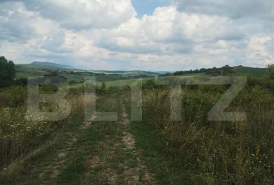 Teren extravilan, 51 ari,zona Sigmir - 3