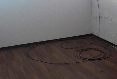 Piata Muncii –parter vila  120mp +demisol 100mp, curte 200mp - 11