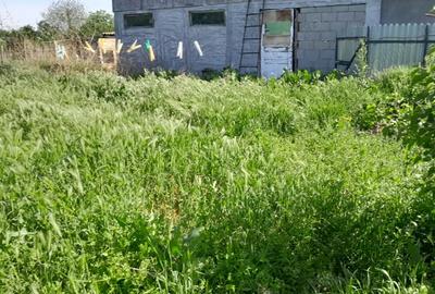 Casă cu 2 camere în Nămoloasa - 6