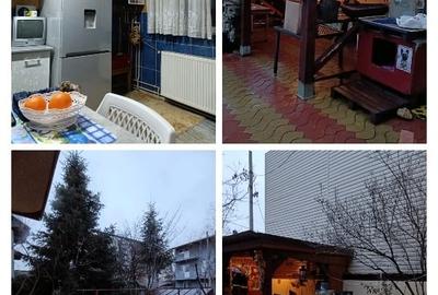 Casa P+1+M,Berceni,Luica - 1