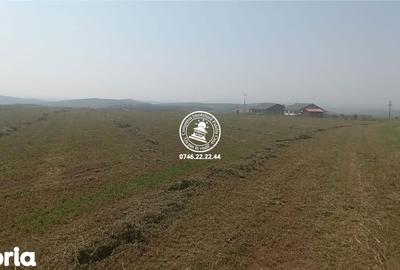 Teren de 6600 mp, în Rediu - 2