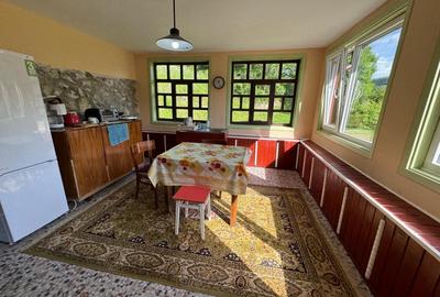 Casa de vanzare, 5 cam., 200 mp. + 5000 mp. teren, Valea Ariesului - 10