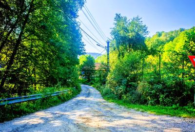 CASA si 2393 mp TEREN INTRAVILAN, Muntii Apuseni, NEGRENI - CLUJ la 1 km de E60 - 46