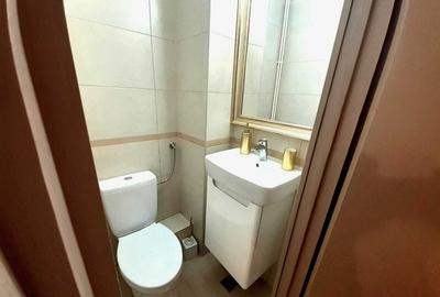 Apartament cu 3 camere decomandat, mobilat în Andrei Mureșanu - 8