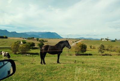 5800 mp fineata, pretabil camping, constructii A-frame, Sohodol, Bran - 2