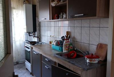 Apartament cu 3 camere decomandat în Cetate - 6